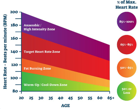 heart rate zones